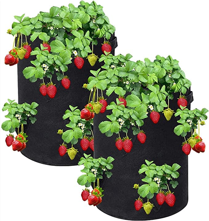 SYUTAM Non-Woven Felt Fabric Strawberry Grow Bag for Gardening, Plants, Flowers, Suitable for Indoor and Outdoor